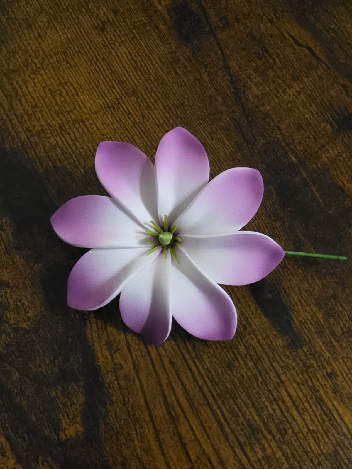 Tiare Type AE - Stem / #7