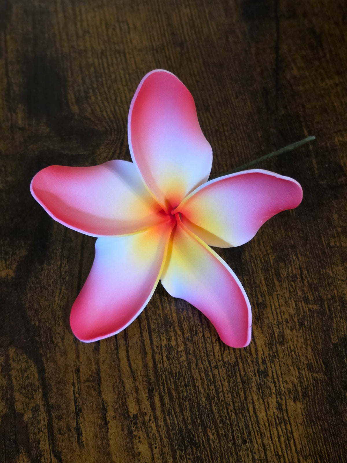 Plumeria Type UU - Stem / #4
