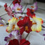Foam flowers HNL2026001