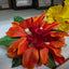 Fiam Flowers HNL2026004