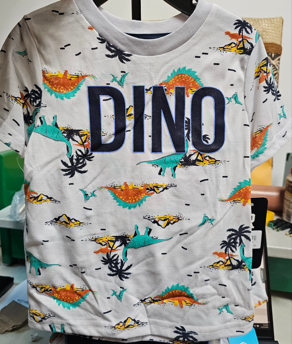 Dino Boys 2 piece shirt and shorts street rules