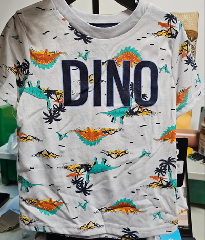 Dino Boys 2 piece shirt and shorts street rules