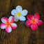 Plumeria Type BO - Stem / #1, #4, #8 (10 pcs each)