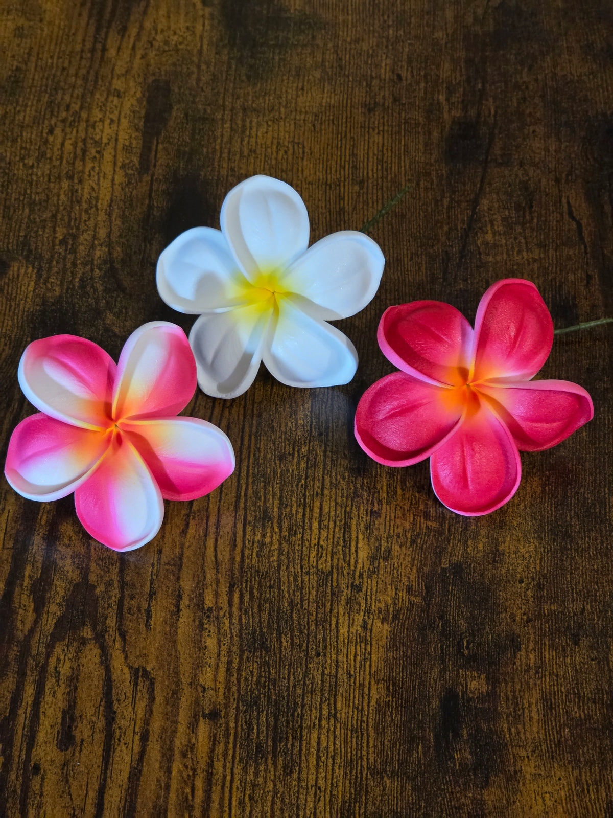 Plumeria Type BO - Stem / #1, #4, #8 (10 pcs each)