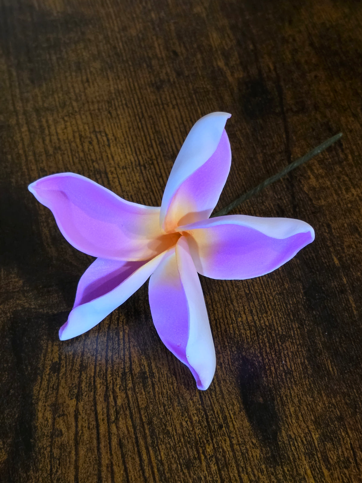 Plumeria Type A - Stem / #23