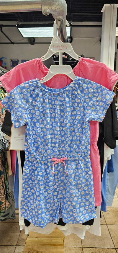 rs lucky penny 2 pack pink dress & blue flower dress Size 6